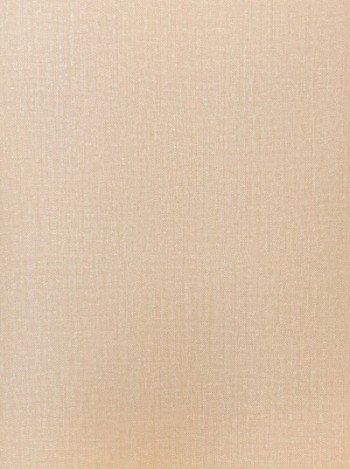 کاغذ دیواری قابل شستشو عرض 50 متفرقه آلبوم بن وویج کد 066153-F